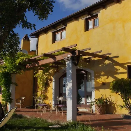 B&B Calandrella-3